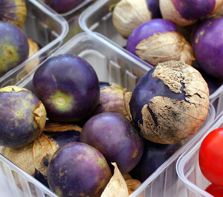 Tomatillo ‘Purple’