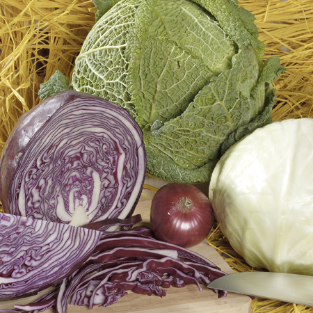 Cabbage All-Season-Mix