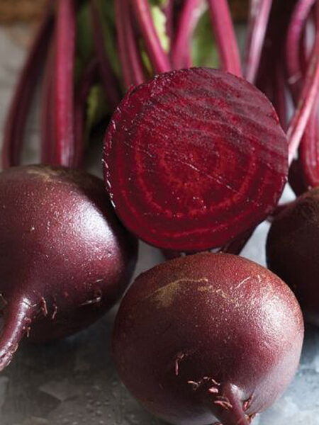 Beet Babybeat-web