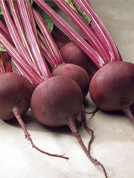 Beet Red Ace-web